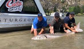 Andrew ladd of the islanders skates during summer training camp at northwell health ice center on july 24, 2020. Andrew Ladd News Nhlpa Com