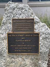 Bingara Memorial Orange Trees