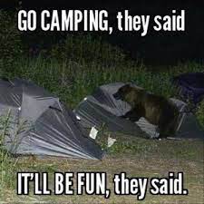 56 Camping Memes That Will Make You Want To Go Camping Funny Camping Memes Camping Memes Camping Humor