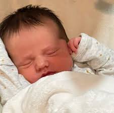 APPRAISING THE PLAINS