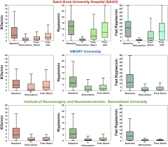 Non-invasive Temporal Interference Stimulation of the Hippocampus  Suppresses Epileptic Biomarkers in Patients with Epilepsy: Biophysical  Differences between Kilohertz and Amplitude Modulated Stimulation
