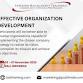 Training Effective Organization Development in Bali event image