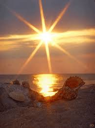 Nature good morning sunrise gif. Nature Early Morning Good Morning Sunrise Gif Novocom Top
