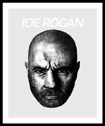 Anti-establishment Framed Art Prints for Sale