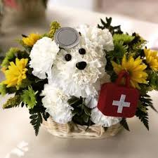 Maybe you would like to learn more about one of these? Worcester Flower Shop 37 Photos Florists 808 Pleasant St Worcester Ma Phone Number Yelp