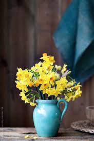 Jug Of Daffodils By Ruth Black Flower Vase Arrangements Flowers Photography Daffodil Photography