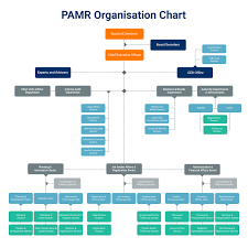 Pamr Organisation Chart