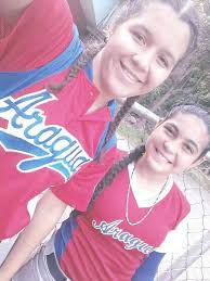 Asociacion de Beisbol del Estado Aragua