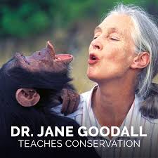 Peggy Barrett, M.A., LMFT