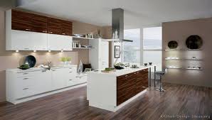 Kitchen Idea Of The Day Modern Two Tone Kitchen With Wood Floors By Alno Two Tone Kitchen Cabinets Modern Kitchen Design Kitchen Cabinets Color Combination