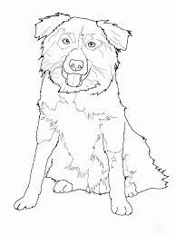 Border collies are herding dogs. Thinkpup Shop Redbubble Dog Coloring Page Dog Line Art Dog Coloring Book