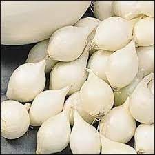 Apr 02, 2015 · 5 bawang putih jantan rahasia eratdijaga dijelaskan dalam detil eksplisit. Bawang Putih Jantan In English Malaycencen