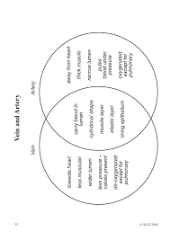 The main functions of mitosis are growth and repair. Mitosis And Meiosis Venn Diagram Worksheet Health