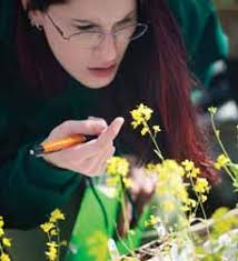 In Communities from Coast to Coast