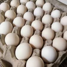 We did not find results for: Jual Telur Ayam Kampung Asli Mentah 1 Butir Telur Ayam Kampung Harga Grosir Jakarta Selatan Bosmart99 Tokopedia