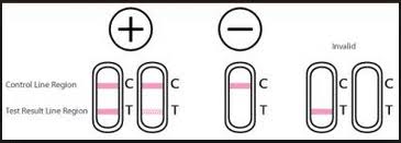 (cara guna tertera pada paket) 1) pertama sekali, anda perlu tentukan kitaran haid anda iaitu bilangan hari dari first period sehingga period yang seterusnya. Bilakah Waktu Yang Sesuai Lakukan Ujian Kehamilan Dengan Urine Pregnancy Test Upt Cahaya Hati Umi
