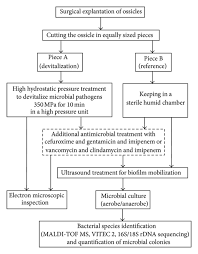 Flow Chart Of The Experimental Setup For High Hydrostatic