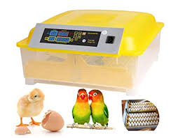 Aceshin Automatic 48 Digital Egg Incubator Turning Temperature Control Poultry Hatcher For Chickens Ducks Goose Birds Us Stock