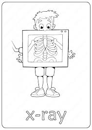 Organic material such as paper, clothes and most explosives are displayed in orange. Printable X Ray Coloring Page Book Pdf