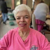 Judy Anne Lewis Obituary (2024)