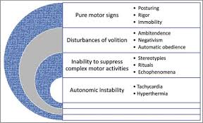 Image result for Echophenomena