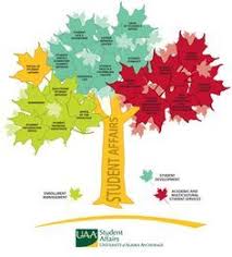 Student Affairs Tree A Twist On The Whole Organizational