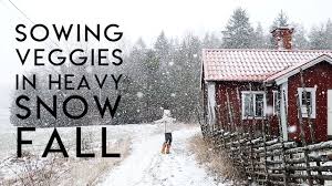 Discover the best snow removal tools in best sellers. Snow Cleaning The Rugs Youtube