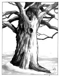 Old Trees The Outside Story Old Trees Tree Drawing Tree Drawings Pencil