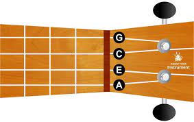 4 string rosewood ukulele guitar bridge with saddle nut set for ukulele, $9.32. Basic Ukulele Chords For Beginners Know Your Instrument