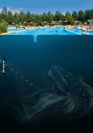 You will be in deep water if you are found. Fear Of Deep Water 9gag
