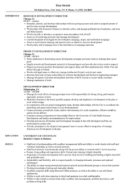 Create your own business development manager job description and learn more about what the job entails. Development Director Resume Samples Velvet Jobs