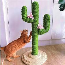 1224 x 1632 jpeg 361 кб. Diy Cute Cactus Cat Climbing Frame Rope Cocomaking Cat Climbing Frame Cactus Cat Cat Climbing