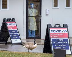 Please cite our lancet article for any use of this data in a publication: There Are 86 New Cases Of Covid 19 In Toronto City Unveils Dashboard To Share Data On Progress Fighting Disease Ontario Completes Most Covid 19 Tests In A Day As Infections Slow The Star