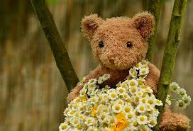 Be inspired by the beauty of nature with this gorgeous collection of flower wallpapers and images. Hd Wallpaper Closeup Photography Of Brown Bear Plush Toy With Bouquet Of Flowers Wallpaper Flare