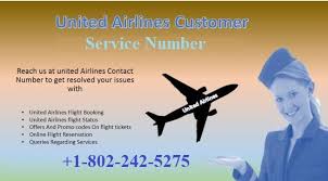 United Airline Book A Flight United Airlines Airline Booking United Airlines Tickets