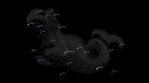 Stella Mira Wonderous Star Astrology King Universo
