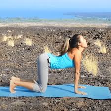 Cat/cow is a traditional warm up for the spine in yoga. Cat Cow Pose And Intestine Clearing Pose Guided Yoga Youveda