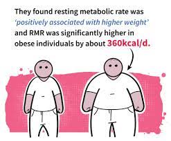The Truth About Your Slow Metabolism Physiqonomics