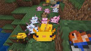 We did not find results for: Minecraft 1 17 Axolotl Wie Man Den Neuen Mob Findet Zahmt Oder Zuchtet Die Spiele Filme Tv Die Sie Lieben