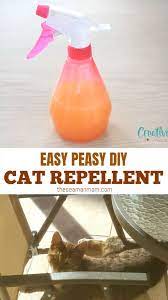 Diy Cat Repellent Video Cat Repellant Cat Repellant Outdoor Cat Care Tips