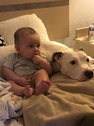 Yuka And Adrian Nanny Dog Dogs And Kids Pitbull Terrier
