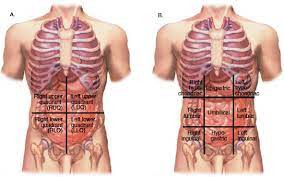 Welcome to the human anatomy and stomach frontier of the century. Abdominopelvic Quadrants And Regions In Medical Terminology Adaptive Tutorial 28 August 2021 Learn Abdominopelvic Quadrants And Regions In Medical Terminology Adaptive Tutorial 14962 Wisdom Jobs India