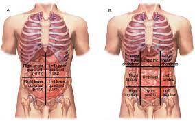 The human abdomen is divided into quadrants and regions by anatomists and physicians for the purposes of study, diagnosis, and treatment. Abdominopelvic Quadrants And Regions In Medical Terminology Adaptive Tutorial 17 June 2021 Learn Abdominopelvic Quadrants And Regions In Medical Terminology Adaptive Tutorial 14962 Wisdom Jobs India