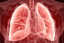 If it doesn't, you may have to spend a long time in an. Damaged Human Lungs Revived For Transplant By Connecting Them To A Pig New Scientist
