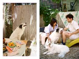 Home Goods and Textiles Company Cold Picnic Has Two Very Important Canine  Employees · Kinship