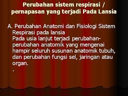 Sistem pernapasan/respirasi sistem pernapasan pada manusia adalah sistem organ yang digunakan untuk menghirup oksigen dari udar. Anatomi Dan Fisiologi Sistem Respirasi Luky Dwiantoro Perkembangan