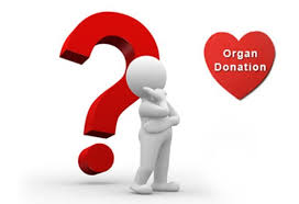 It puts patients in order on the waiting list and matches them to donors. Organ Donation Slideshow