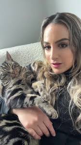 24-Hour Cat Surveillance: A Pet Owner's Solution