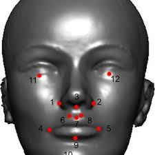 PDF) Investigating the shared genetics of non-syndromic cleft lip/palate  and facial morphology