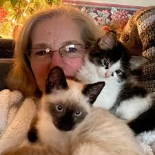 Candy Apple Sweet 🇺🇸